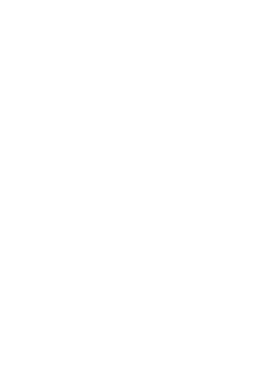 Logo_Reli___Saâ__dudin_2-transformed