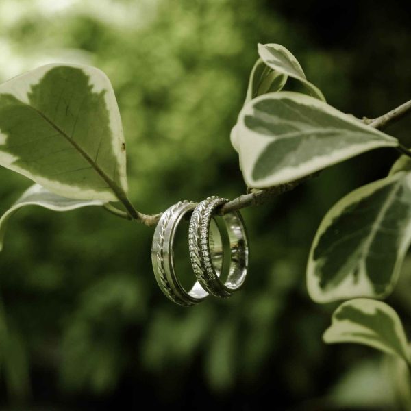 Galeri Retty & Zorro 4